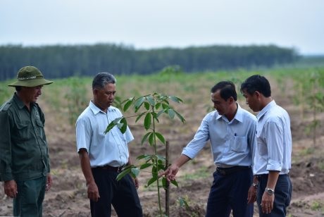 Vươn lên dẫn dầu nhờ thay đổi cách quản lý
